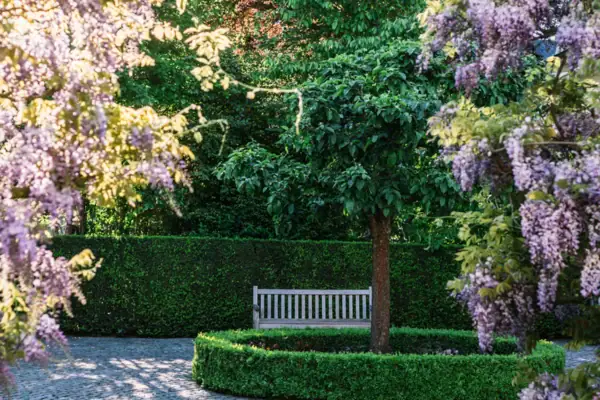 Eine Bank in einem Garten mit Bäumen und Sträuchern.