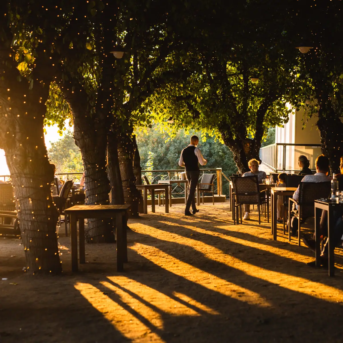 Lindenterrasse bei Sonnenuntergang Lindenterrasse bei Sonnenuntergang