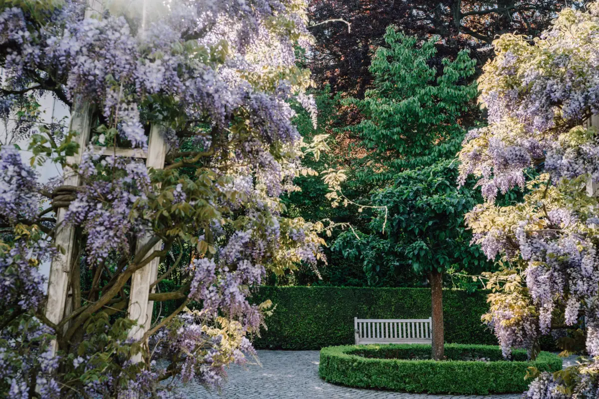 Eine Bank in einem Garten mit Bäumen und Sträuchern.